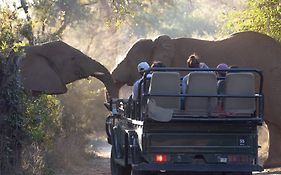 Karongwe Portfolio - Chisomo Safari Camp